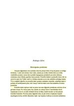 Referāts 'Apbedīšanas tradīcijas Senajā Ēģiptē', 11.