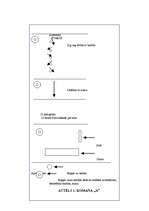 Konspekts 'Stafete sportā', 3.