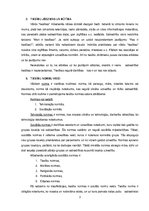 Referāts 'Tiesības sabiedrībā', 3.