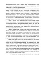 Referāts 'Tiesības sabiedrībā', 4.