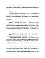 Referāts 'Latvijas Republikas muita', 6.