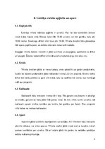 Konspekts 'Lietišķa cilvēka izskats', 9.