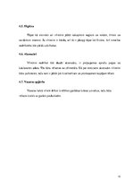 Konspekts 'Lietišķa cilvēka izskats', 10.