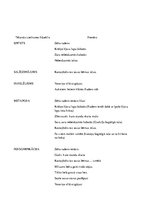 Paraugs 'Tēlainās izteiksmes līdzekļi', 2.