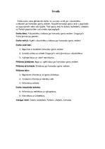 Referāts 'Sporta veidi', 5.