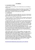 Referāts 'Sporta veidi', 10.