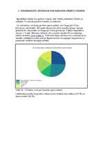 Referāts 'Sporta veidi', 13.