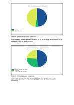 Referāts 'Sporta veidi', 16.