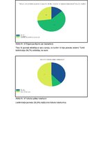 Referāts 'Sporta veidi', 17.