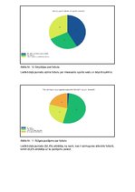 Referāts 'Sporta veidi', 18.