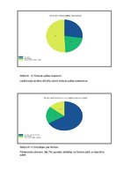 Referāts 'Sporta veidi', 19.