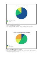 Referāts 'Sporta veidi', 21.