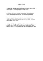 Referāts 'Sporta veidi', 23.