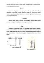 Referāts 'Motora stāvokļa diagnostika', 6.