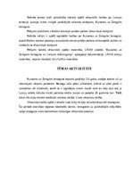 Referāts '17.gadsimta parādes portrets Kurzemē', 2.