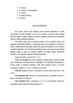 Referāts 'Sulas', 3.