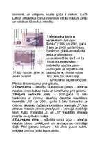 Referāts 'Latvijas simboli', 8.