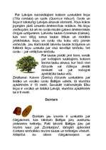 Referāts 'Latvijas simboli', 17.