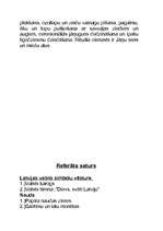 Referāts 'Latvijas simboli', 20.