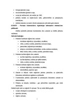 Prakses atskaite 'Prakses atskaite', 7.