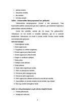 Prakses atskaite 'Prakses atskaite', 9.