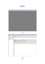 Prakses atskaite 'Prakses atskaite', 13.