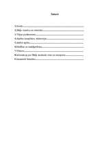 Referāts 'Dikļu pils', 2.