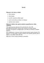 Referāts 'Dikļu pils', 3.