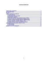 Referāts 'Elektronisko publikāciju bibliogrāfiskās kontroles problēmas', 3.