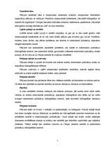 Referāts 'Elektronisko publikāciju bibliogrāfiskās kontroles problēmas', 5.