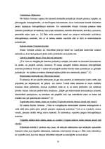 Referāts 'Elektronisko publikāciju bibliogrāfiskās kontroles problēmas', 20.