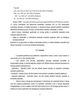 Referāts 'Rallijs Latvijā', 8.