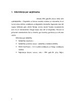 Referāts 'Izvērstā finanšu analīze', 2.