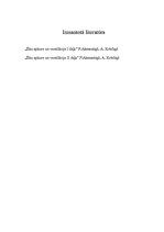 Referāts 'Sildķermeņu veidi, izvēle, uzstādīšana, regulēšana. Ventilatoru veidi un rakstur', 13.