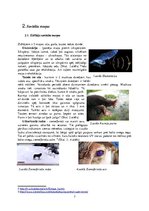 Referāts 'Dzīvnieku savādās maņas', 7.