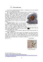 Referāts 'Dzīvnieku savādās maņas', 8.