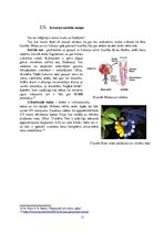 Referāts 'Dzīvnieku savādās maņas', 11.