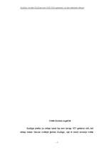 Referāts 'Kuldīga- bijušās Kuldīgas pils (XIII-XIX gadsimts) un tās apkārtnes vēsture', 6.