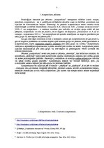 Referāts 'Aizspriedumu veidi un izcelsme', 4.