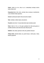 Referāts 'Latgales mākslinieki', 43.