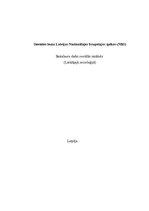 Diplomdarbs 'Sievietes loma Latvijas Nacionālajos bruņotajos spēkos', 1.