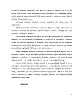 Referāts 'Finanšu grāmatvedība', 15.