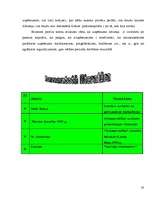 Referāts 'Finanšu grāmatvedība', 32.