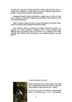 Referāts 'Augu sezonālās pārmaiņas', 3.