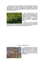 Referāts 'Augu sezonālās pārmaiņas', 5.