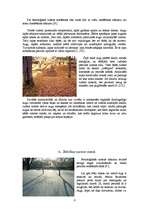 Referāts 'Augu sezonālās pārmaiņas', 6.