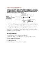 Konspekts 'Histoloģijas konspekts. Asinsrade, muskuļaudi', 9.