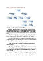 Konspekts 'Histoloģijas konspekts. Asinsrade, muskuļaudi', 12.