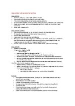 Konspekts 'Histoloģijas konspekts. Asinsrade, muskuļaudi', 17.