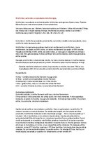 Konspekts 'Histoloģijas konspekts. Asinsrade, muskuļaudi', 28.